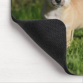 Tapis De Souris Chiot de chiwawa avec des pommes (Coin)