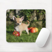 Tapis De Souris Chiot de chiwawa avec des pommes (Avec souris)