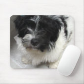 Tapis De Souris Chiot de délivrance de Havanese noir et blanc (Avec souris)