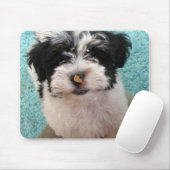 Tapis De Souris Chiot de Havanese (Avec souris)