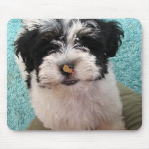 Tapis De Souris Chiot de Havanese