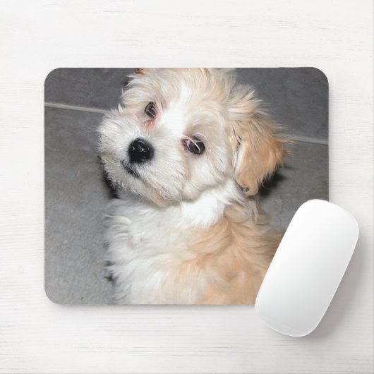 Tapis De Souris Chiot de Havanese (Avec souris)