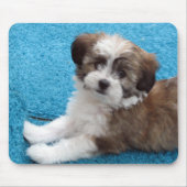 Tapis De Souris Chiot de Havanese (Devant)