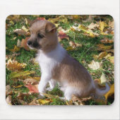 Tapis De Souris Chiot de Jack Russell (Devant)