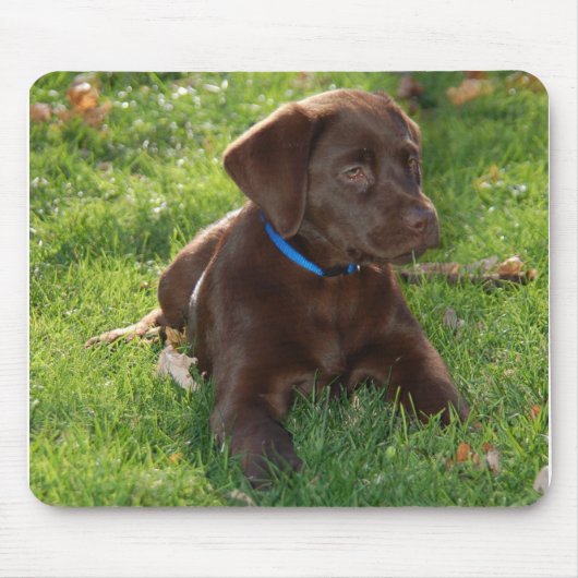 Tapis De Souris Chiot de laboratoire de chocolat (Devant)