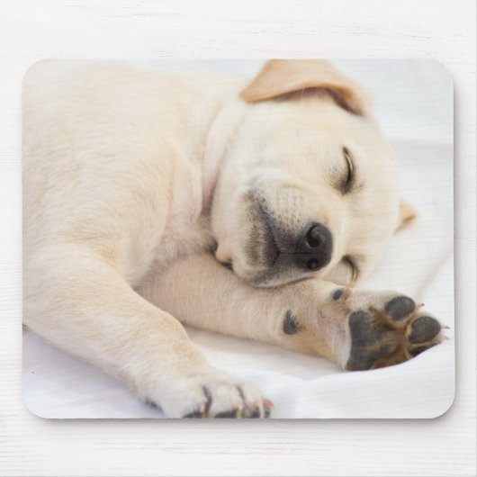 Tapis De Souris Chiot de Labrador (Devant)