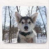 Tapis De Souris Chiot de Noël (Devant)