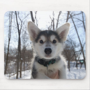 Tapis De Souris Chiot de Noël