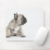 Tapis De Souris Chiot de Pedigree (Avec souris)