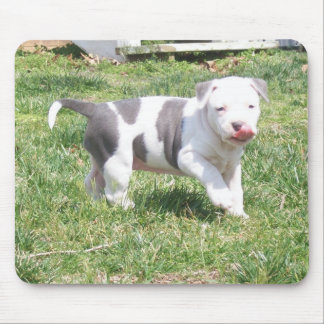 TAPIS DE SOURIS CHIOT DE PITBULL