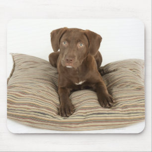 Tapis De Souris Chiot de quatre mois de laboratoire de chocolat