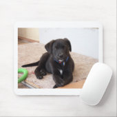 Tapis De Souris Chiot de récupération Black Labrador (Avec souris)