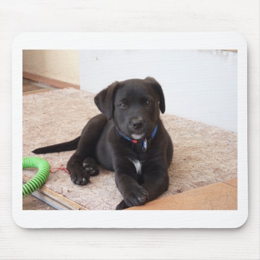 Tapis De Souris Chiot de récupération Black Labrador (Devant)