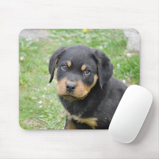 Tapis De Souris Chiot de rottweiler (Avec souris)