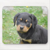Tapis De Souris Chiot de rottweiler (Devant)