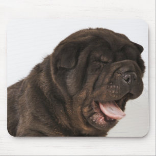 Tapis De Souris Chiot de Shar Pei baîllant, tir de studio