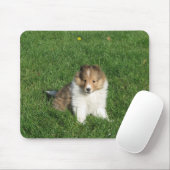 Tapis De Souris Chiot de Sheltie dans le mousepad d'herbe (Avec souris)