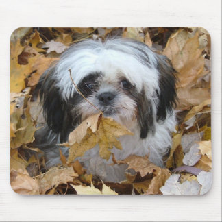 Tapis De Souris chiot de shih-tzu