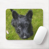 Tapis De Souris Chiot de Terrier écossais mignon (Avec souris)