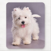 Tapis De Souris Chiot de Westie (Devant)