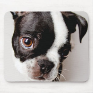 Tapis De Souris Chiot d'Edison Boston Terrier