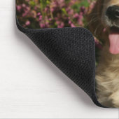 Tapis De Souris Chiot d'or de Retreiver (Coin)