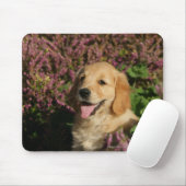 Tapis De Souris Chiot d'or de Retreiver (Avec souris)