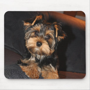 Tapis De Souris Chiot du Yorkshire Terrier