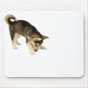 Tapis De Souris Chiot enroué 2