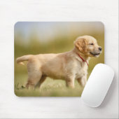 Tapis De Souris Chiot Golden Retriever (Avec souris)