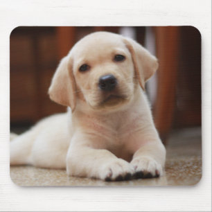 Tapis De Souris Chiot jaune de Labrador de bébé s'étendant sur 
