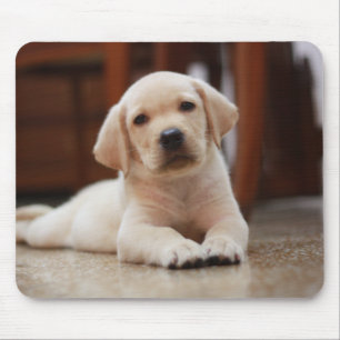 Tapis De Souris Chiot jaune de Labrador de bébé s'étendant sur 