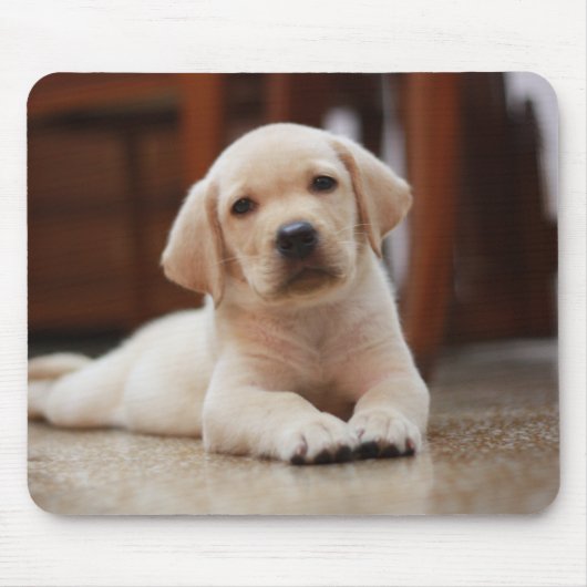 Tapis De Souris Chiot jaune de Labrador de bébé s'étendant sur le (Devant)