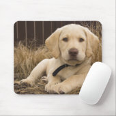 Tapis De Souris Chiot Labrador Retriever (Avec souris)