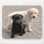Tapis De Souris chiot mousepad<br><div class="desc">chiots du labrador</div>