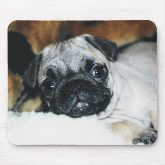 Tapis De Souris Chiot Mousepad de carlin (Devant)
