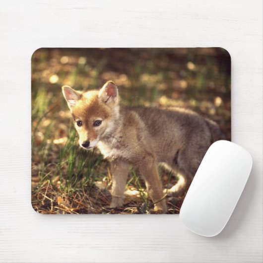 Tapis De Souris Chiot Mousepad de coyote (Avec souris)