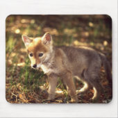 Tapis De Souris Chiot Mousepad de coyote (Devant)