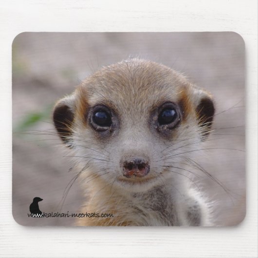 Tapis De Souris Chiot Mousepad de Meerkat (Devant)