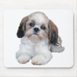 Tapis De Souris Chiot Mousepad de Shih Tzu