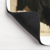 Tapis De Souris Chiot noir de carlin (Coin)