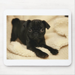 Tapis De Souris Chiot noir de carlin