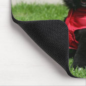 Tapis De Souris Chiot noir de Pomeranian regardant (Coin)
