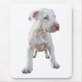 Tapis De Souris Chiot Pitbull blanc (Devant)