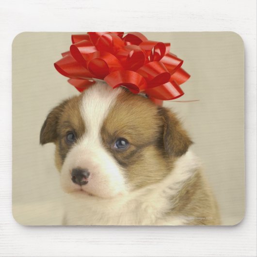 Tapis De Souris Chiot portant un arc rouge (Devant)