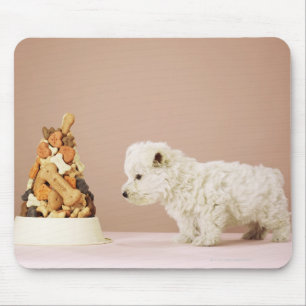 Tapis De Souris Chiot regardant la pile des biscuits dans la