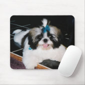 Tapis de souris chiot Shih-Tzu (Avec souris)