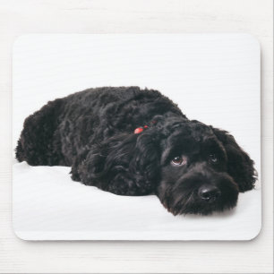 Tapis De Souris Chiot triste