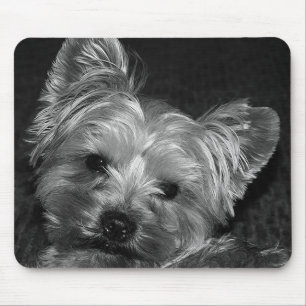 Tapis de souris chiot Yorkshire Terrier Amour