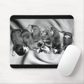 Tapis De Souris chiots à tête blanche (Avec souris)